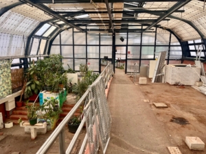 Leeres Glashaus