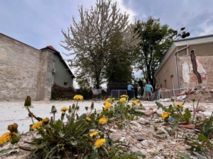 Blumen auf der Baustelle