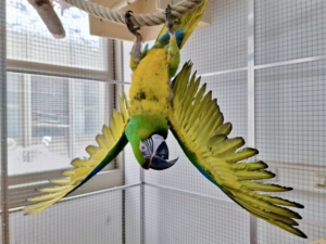 Ares bereit zum Abflug